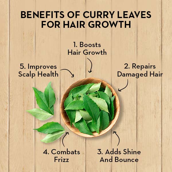 How To Use Curry Leaves For Hair Growth SUGAR Cosmetics